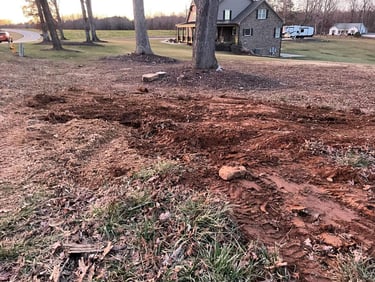 ...and now you don't! Stump all ground up and debris removed.