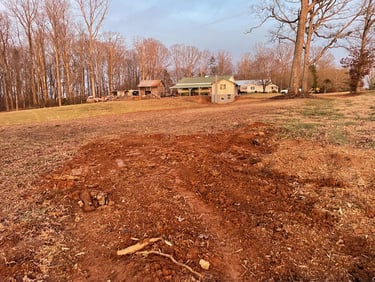 Second stump removed and cleaned up.