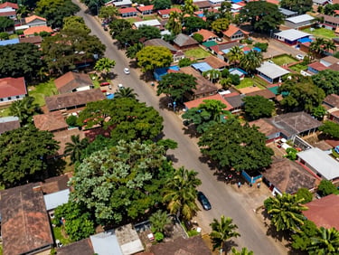 Aerial drone shot looking down over East Legon's wide tree-lined residential streets, large walled compounds and mature canopy visible, natural midday light, no people