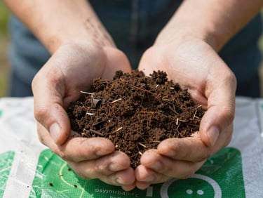 Macro close-up of dark, nutrient-rich soil being held in hands over a physical fertilizer sack, bright natural daylight, 35mm lens