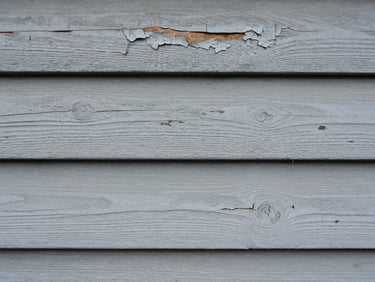 Close-up of peeling exterior paint on wood siding with visible bare wood grain and chalking surface, overcast daylight showing the depth of paint failure and substrate exposure