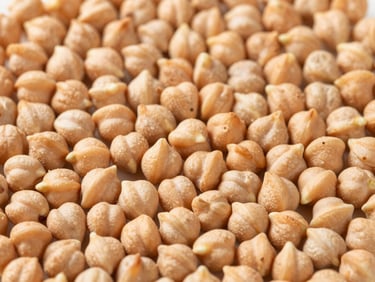 Macro shot of uniformly sized, clean chickpeas, bright natural daylight, rich organic tones