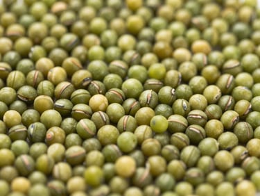 Close-up of vibrant green moong dal, clean and sorted, under bright natural light