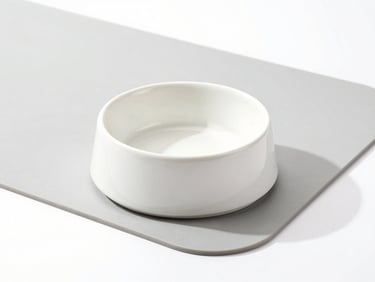 Minimalist white ceramic pet bowl on a soft grey silicone mat, bright airy daylight, clean studio focus