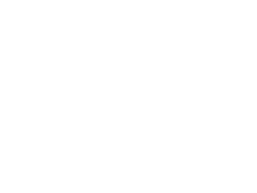 SIS Logo -Qi Team