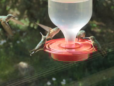 Humming Along