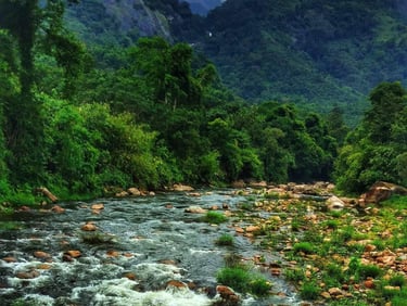 Waterstream at Anakulam