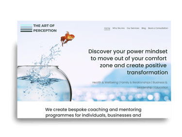 Screenshot of the Art of Perception website