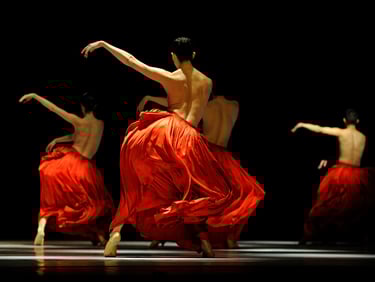 BALLET DE L’OPÉRA DE LYON - CANNES 2009 - Alain Hanel