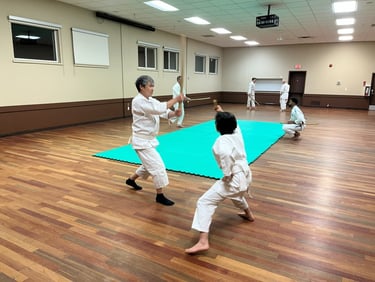 teens and adults practicing japanese sword at the Mount Pleasant hall