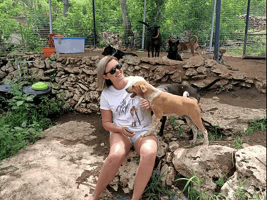 volunteer, help, learn, assist, play, dogs, cats
