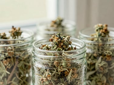 Close-up of dried green botanicals and organic hemp flowers in a clean glass jar, soft natural window light, muted sage tones.