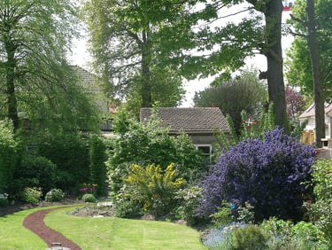 Jardin en longueur - bas du jardin