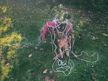 current situation ikebana performance at Crossbreeds Cracks Currents PF25 Dornach Extension Exhibition