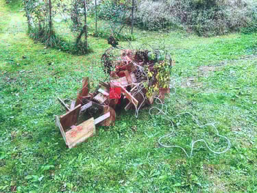 current situation ikebana performance at Crossbreeds Cracks Currents PF25 Dornach Extension Exhibition