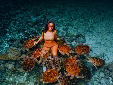 tourist enjoying an interactive tour with sea turtles at the Zanzibar Sea Turtle Aquarium, exploring marine life