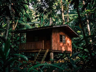 Raw wooden lodge architecture, cabin nestled in dense jungle foliage, dappled canopy sunlight, moody, 35mm lens