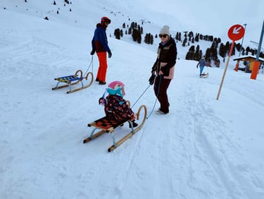 a woman is pulling a sled with a child in a sled