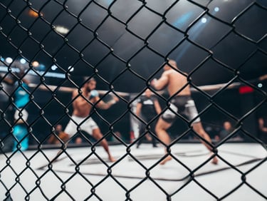 MMA (Artes Marciales Mixtas)