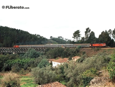 Comboio especial PTG 1963+1461 Coimbra Lousã