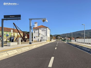 metrobus metromondego serpins