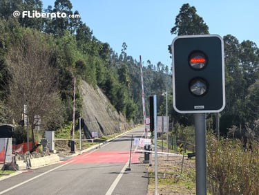 Metrobus Lobazes
