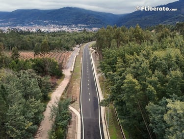 Metrobus Zona Cruzamento Arneiro