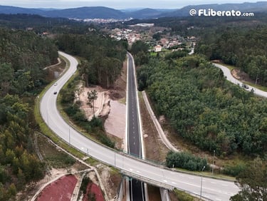 Metrobus Zona Cruzamento Padrão
