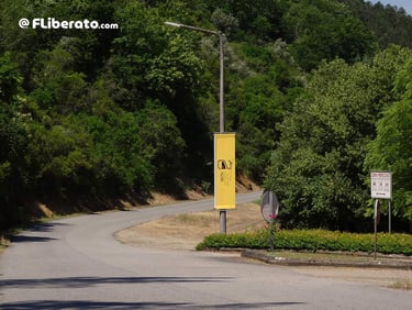 N2 pendão Rota N2 Estrada Nacional