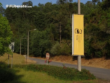 N2 pendão Rota N2 Estrada Nacional