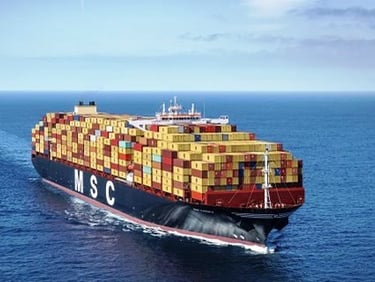 a large container ship sailing in the ocean(MSC)