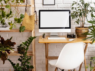 plantas no home office