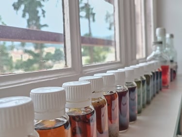 Echantillons d'alcool colorés
