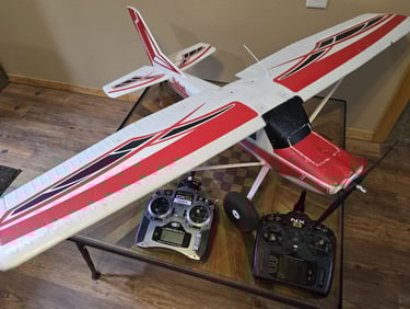 Bigfoot 1.4m Trainer using Buddy Box Setup