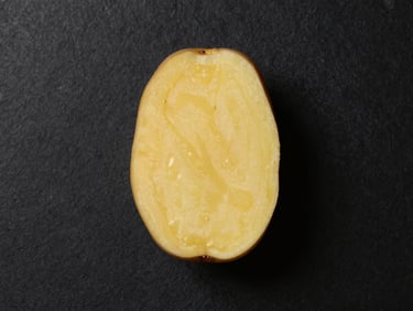 Top-down structured flat lay of a single raw heirloom potato sliced cleanly in half, high-contrast studio lighting, deep obsidian background