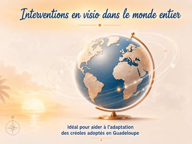 Interventions en visio dans le monde entier