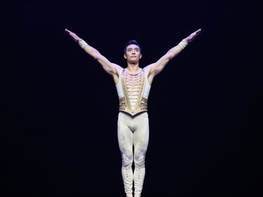 Professional circus artist in a premium costume performing a trick, dramatic stage lighting