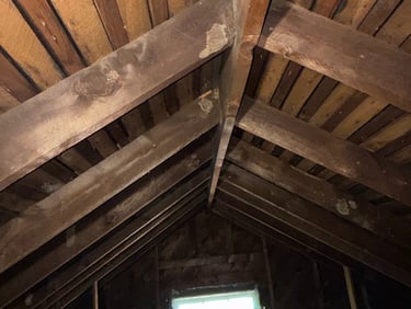 We inspect everything from the basement to the attic.