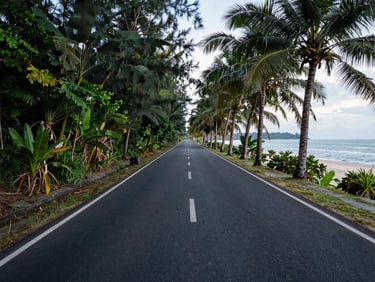 Ground-level view along a newly paved coastal road on Phú Quốc island, tropical vegetation flanking both sides, diffuse morning light, no vehicles or people, limestone road markings visible, sea glimpsed through tree gaps on the right