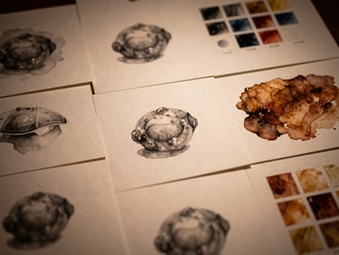 A multi-card display of scanned watercolor pencil studies, layered watercolor washes, and rich oil impasto swatches digitized into brand assets and website graphics. Low-key warm amber lighting.