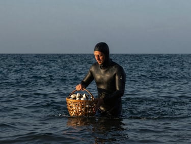 Buzo con traje de neopreno emergiendo del agua fría de San Quintín con una cesta de abulones, luz de atardecer dramática, alto contraste.