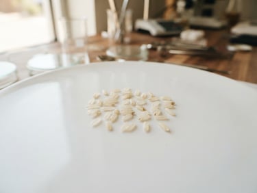 A clean modern inspection lab setup with grains of rice on a white surface, natural light, precise composition, 35mm
