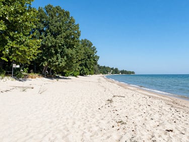 Bright sunny shot of Albena beach with lush green trees in the background, wide sandy shore, calm sea