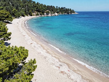 Aerial view of a pristine beach in Halkidiki with clear turquoise water and lush green pine trees reaching the sand