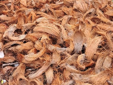 Coir fiber drying dhasan globalcity