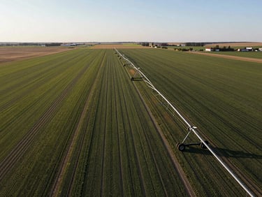 Extreme wide-angle drone photograph of a massive center-pivot irrigation system operating on perfectly straight crop boundaries in Lethbridge County under crisp morning light.