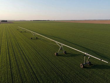 High-angle drone shot of a massive lateral irrigation pivot sweeping across perfectly straight crop boundaries in Lethbridge County, sharp early morning light, expansive sky.