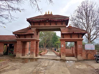 Cultural visits