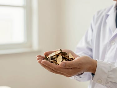 Close-up of a Mongolian traditional medicine doctor holding dried herbs, soft natural light, clean minimalist background, shallow depth of field, 35mm