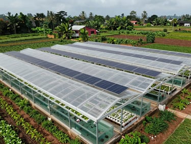 Aerial view of aquaponic greenhouse facility with grow beds and fish tanks integrated beneath translucent roofing, solar panels visible on roof surface, green crops in rows, natural overcast daylight, rural Indonesian landscape visible beyond structure